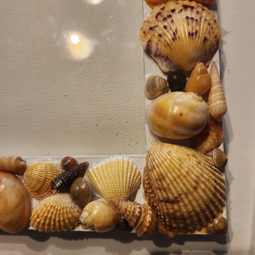 Handgefertigter FLORIDA Muschel Bilderrahmen Maritim Meer Design hält 5x7 Bild - Bild 5 von 6