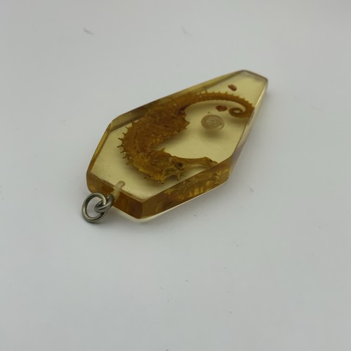 Vintage Resin Sea & Shell Pendant 1960s Lucite Amber - Picture 4 of 5