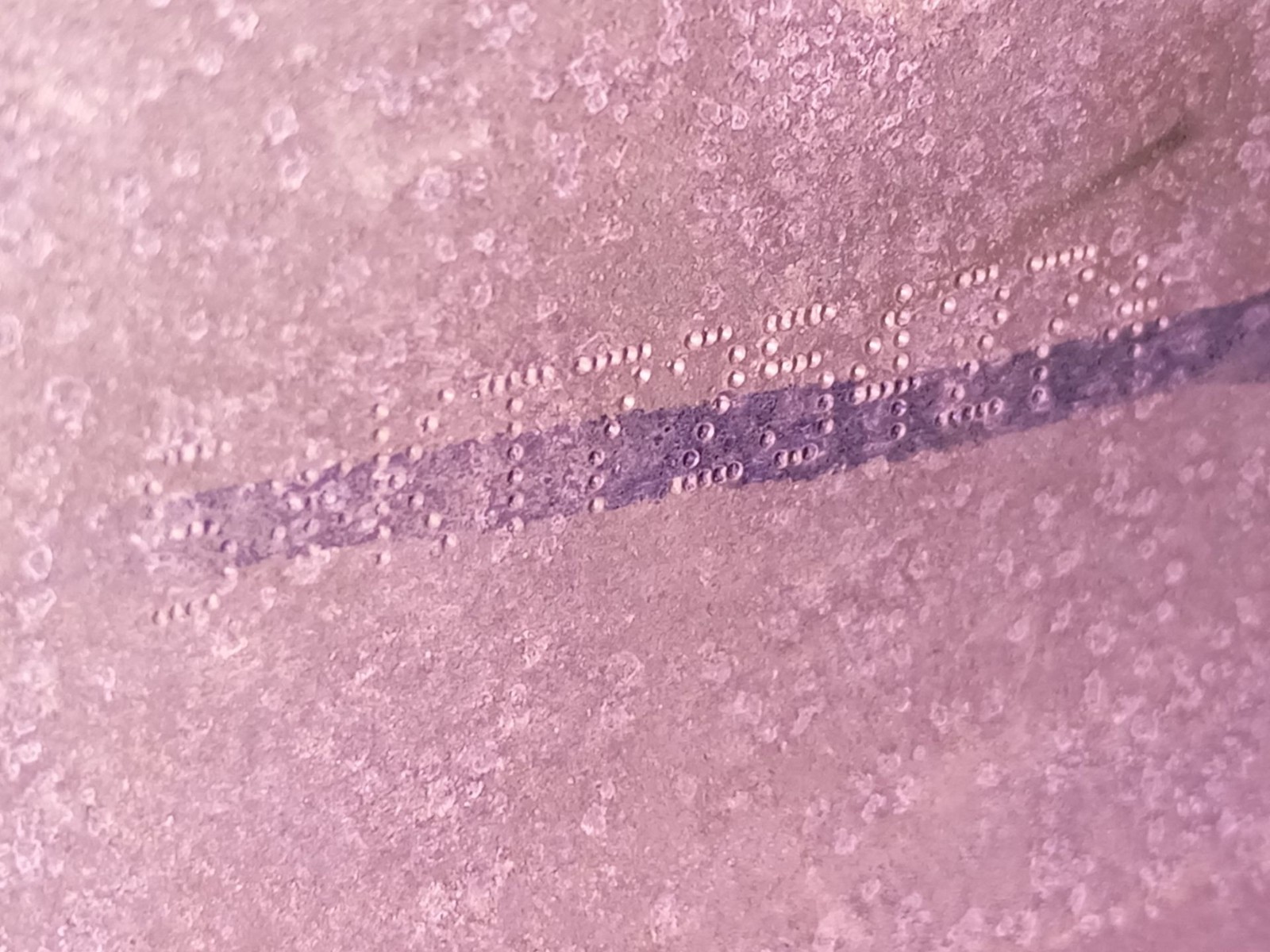 Picture 7 of 10