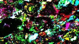 Vintage Microscope Slide. Eklogite from Glenelg by Gregory Bottley.