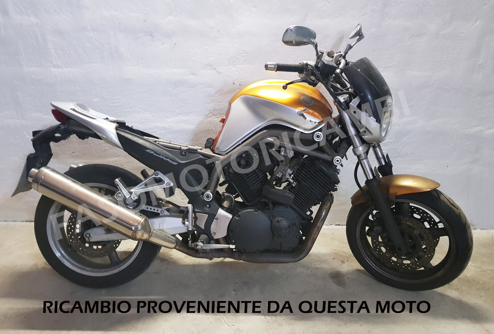 Foto 6 di 6