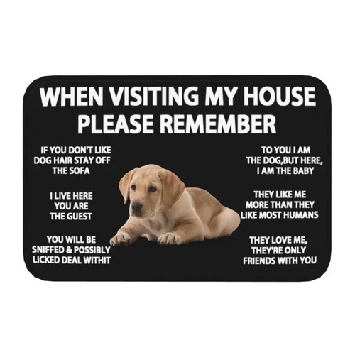 Staffordshire Bull Terrier Doormat Kitchen Bath Mat Bedroom Balcony Floor Door - Picture 19 of 37