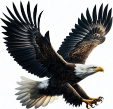 Soaring Bald Eagle Iron On Transfer For T-Shirt + Other Light & Dark Fabrics #2