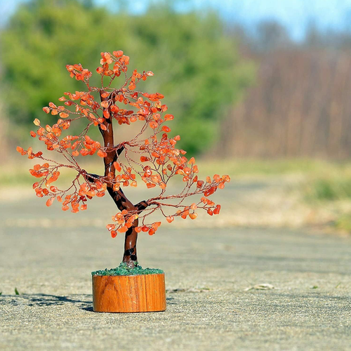 Carnelian Crystal Tree Natural Healing Gemstone Crystal Bonsai Fortune 9-12 Inch - Picture 3 of 5