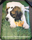 Vintage Hallmark A True Friend is the Best Possession St Bernard Dog Poster USA
