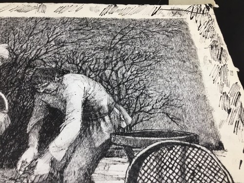 Alice Mary Fitzpayne C 1980 gelisteter Stift und Tinte signierter Student von Francis Bacon - Bild 7 von 14