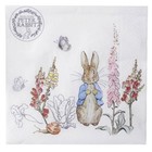 Beatrix Potter Peter Rabbit Napkins - Classic (20 Napkins)