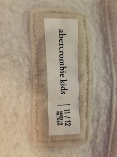 Boy's Lot Sz M 10-12 Abercrombie Hoodie Champion Joggers Swim Trunks READ - Picture 10 of 24