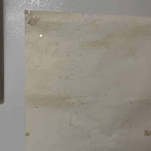 Alphonse Mucha "Vin Des Incas” Wine Of The Incas Vintage 70’s Poster Coca Peru - Picture 19 of 22