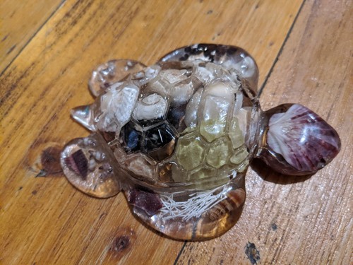2 Sea Animals Clear Resin Filled W Sea Shells Unique Seahorse Turtle - Bild 9 von 12
