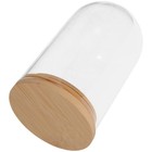  Pflanzenanzuchtgläser: Pflanzenterrarium-Glasvase mit Holzsockel für den Anbau