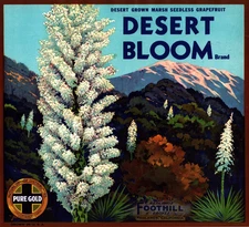 DESERT BLOOM Brand Original Fruit Crate Label - Redlands, California