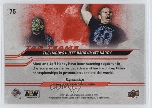 Parche 2024 AEW All Elite Wrestling Tag Teams Dynamite Matt Hardy Jeff The Hardys - Imagen 2 de 4