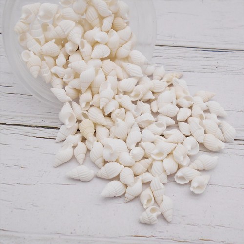 90grams About 250pcs White Tiny Seashell Natural Beach Spiral Shells Craft Ch... - Picture 2 of 6