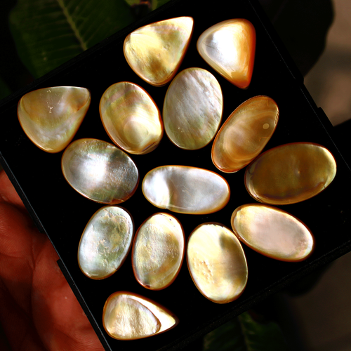 14 Pcs Natural Mother Of Pearl Untreated 21mm-27mm Cabochon Loose Gemstones Lot - Picture 6 of 10