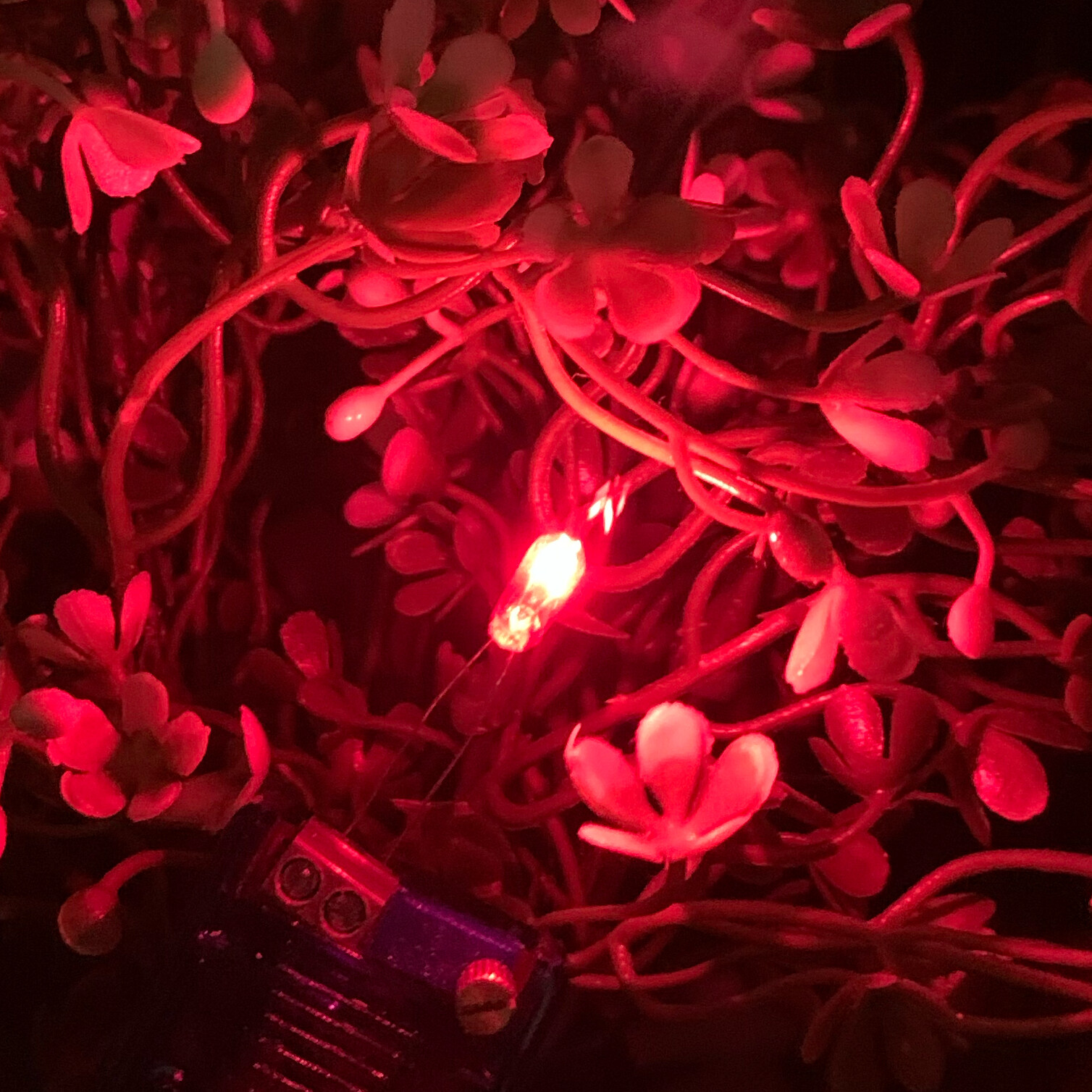Picture 3 of 4