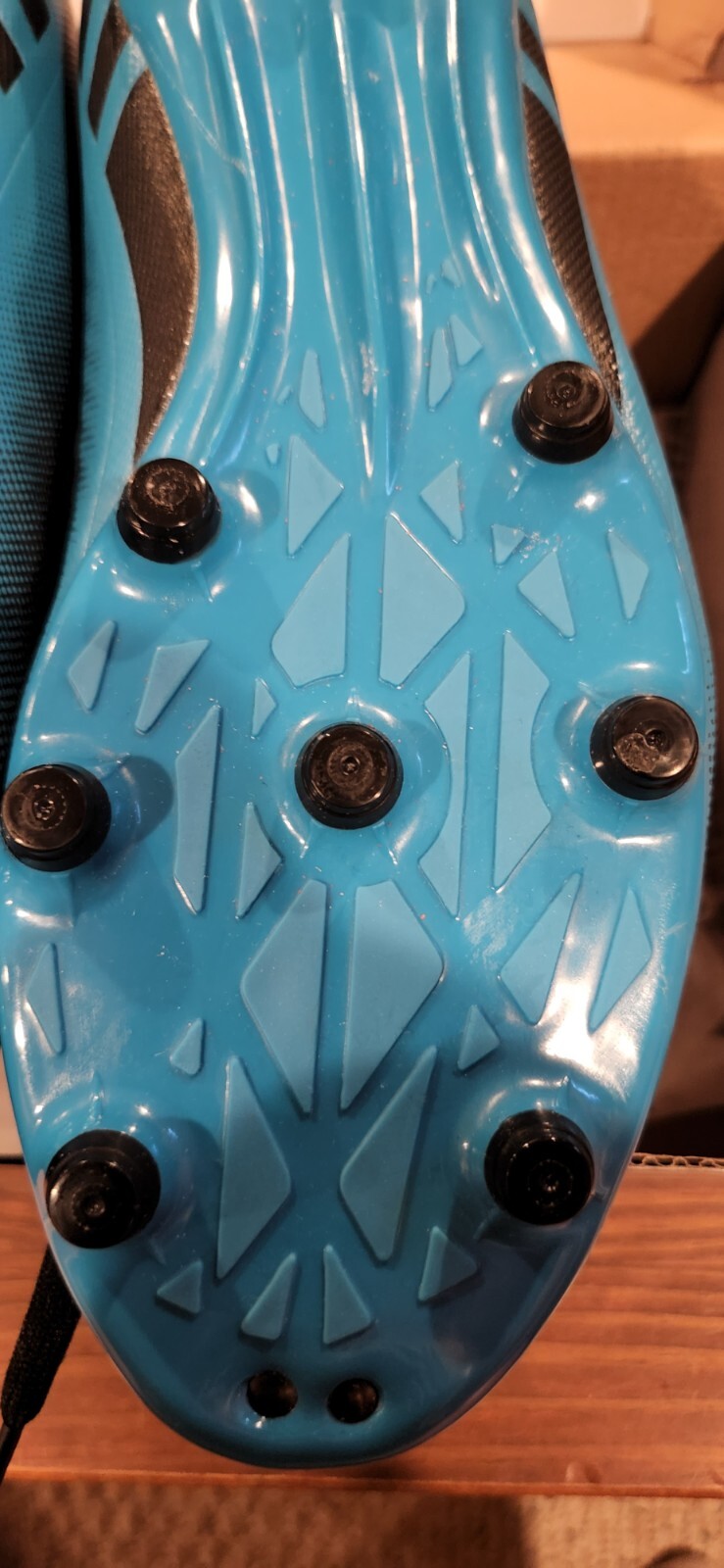 Picture 3 of 16