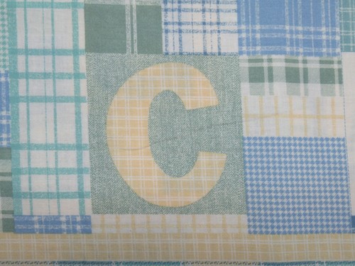 Kids ABC Squares Checks/Plaids Springs Industries Cotton Fabric SBTY X 44" W NEW - Picture 6 of 8