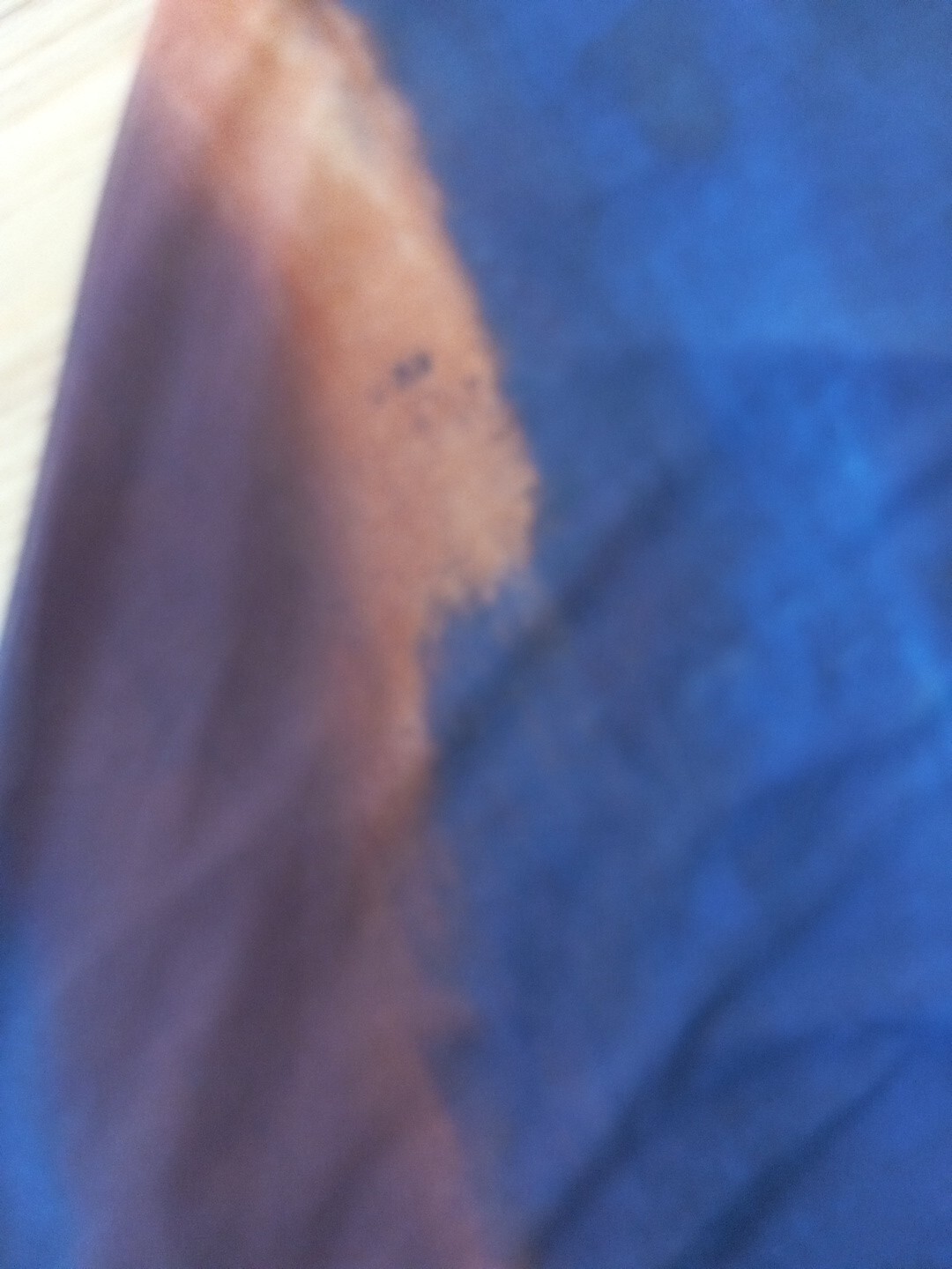 Bild 7 von 8