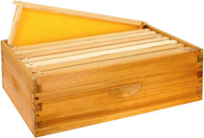 8 Frame Langstroth Medium Super Bee Hive Box w/ Frames & Wax Sheets Unassembled