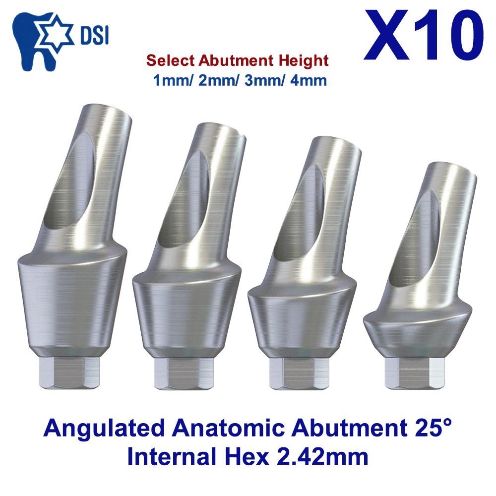 10x Dental Fixture Angulated Anatomic Titanium Adapter Head 25º