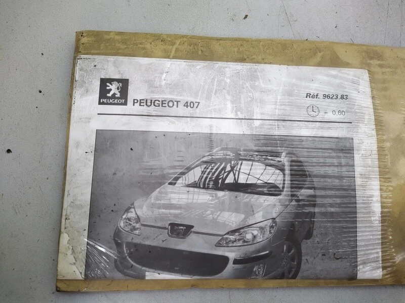 PEUGEOT 407 MOLDURAS UMBRAL PUERTA DELANTERA Y TRASERA ACERO INOXIDABLE CEPILLADO 962383 NUEVO Foto 2 de 4