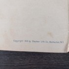 Picture 5 of 11