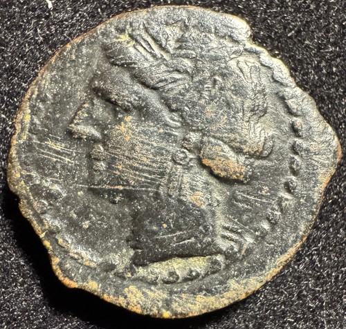 300 - 264 BC Carthage Empire Shekel Tanit Horse Head Amazing Detail! - Picture 2 of 2