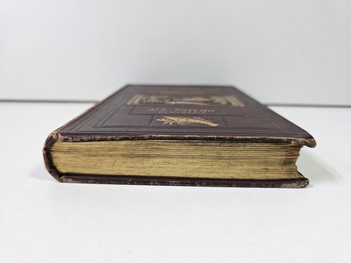The Aquarium: Its Inhabitants, Structure... by Taylor - Hardcover 1881 - Picture 6 of 19