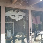 Picture 1 of 7