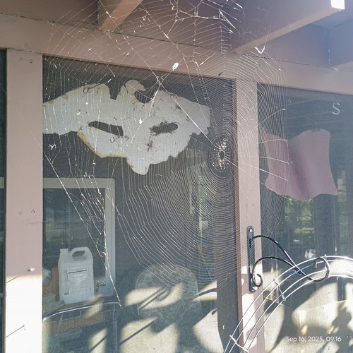 MYSTERY box 8 Books "I Don't Remember" Was Labeled "IMPACT" - Bild 1 von 7