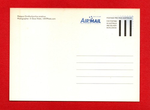 2006 PLATYPUS  postcard postage pre paid AUSTRALIAN animal bird fish - Picture 2 of 2