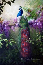 Peacock Peahen Animal Oil painting Wall art HD Giclee Printed on Canvas P001