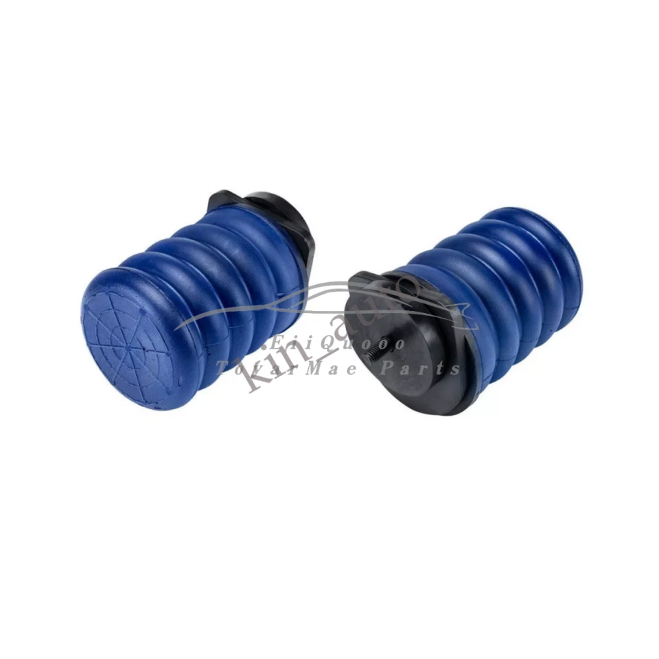 Par de muelles auxiliares de suspensión neumática para Ford F-150 Heritage SSR-108-40 1999-2008 Foto 2 de 4