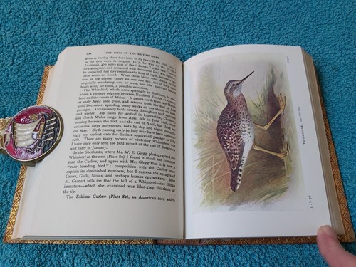 Wayside & Woodland Birds, Series 1, 11 and 111, RARE set, re-bound in leather - Picture 24 of 24