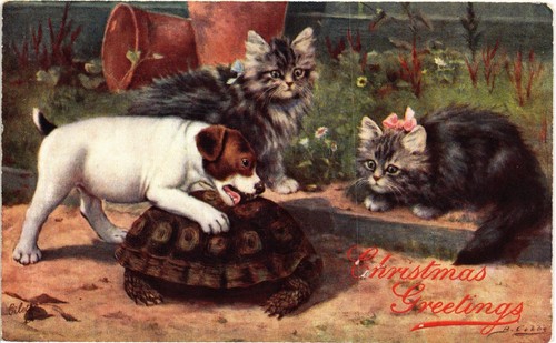 Dr Jim Stamps Postcard Christmas Greetings Dog Turtle Kittens lettering damage
