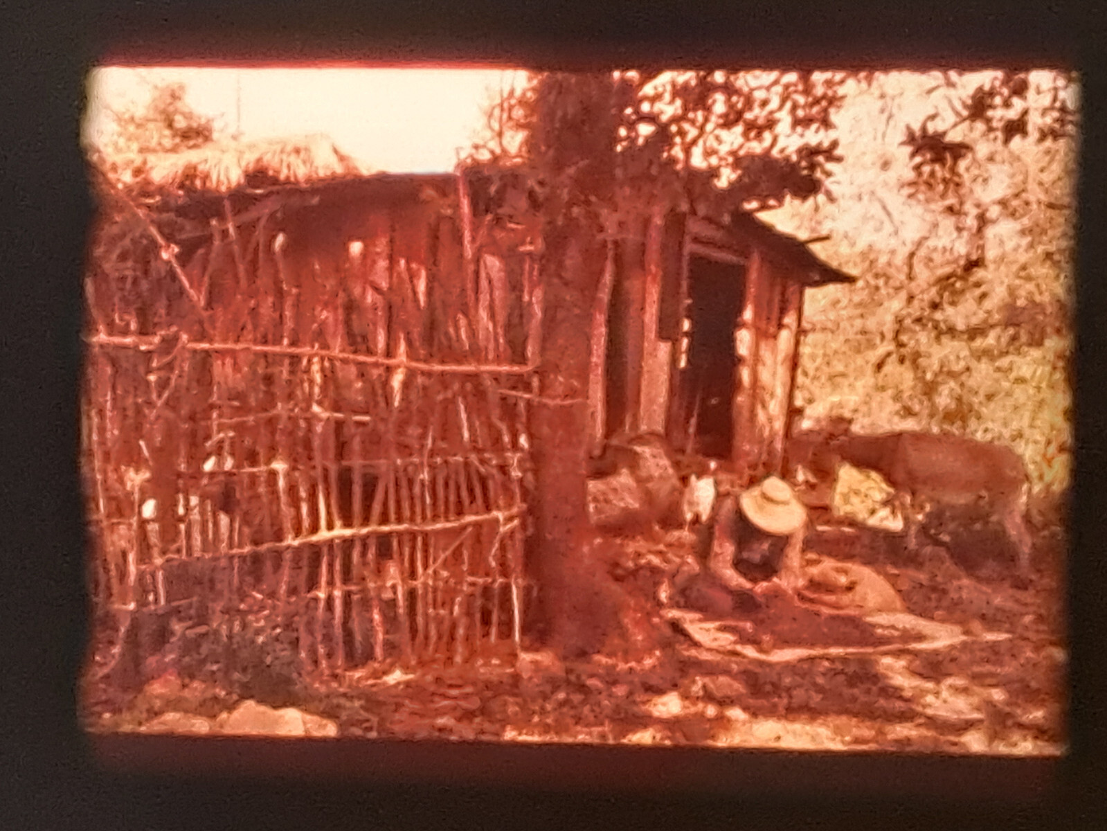 Picture 23 of 24