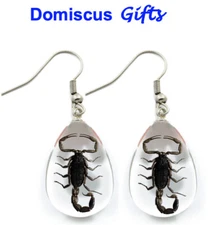 NEW Real INSECT Black SCORPION EARRINGS Teardrop Clear Jewelry PENDANT Free Ship