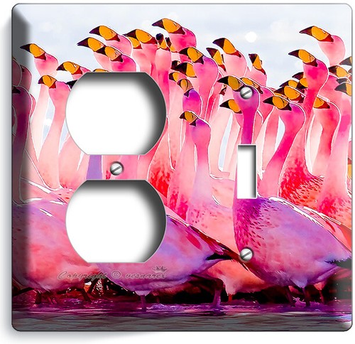 TROPISCHE VÖGEL ROSA FLAMINGO FLOCK LICHTSCHALTER STECKDOSE WANDPLATTE ZIMMER KUNST DEKOR - Bild 25 von 34