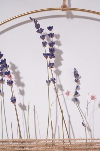 Lavanda azul natural, aprox. 20 g, L aprox. 30 cm - Imagen 4 de 12