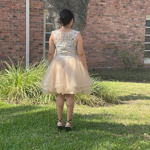 Juliet woman's silver sequin floral embroider  lace cream prom party dress - Bild 14 von 14