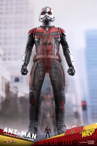 Hot Toys 1/6 MMS497 Ant-Man 2: Ant-Man All-New In Stock - Picture 12 of 21