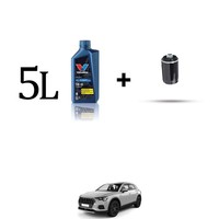 Set ÖLfilter Und 5L FüR Audi Q3 (8UB, 8UG) 2.0 Tfsi 155Kw Von 2011