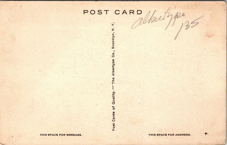 Postcard South Carolina Aiken Coker Springs Albertype Dirt Road 1930s V168 - Image 2 of 2