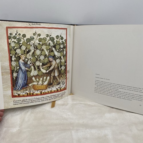 Medicina Magica Biedermann Klassische Medizin Bibliothek 1986 Okkulter Greif Wicca - Bild 6 von 12
