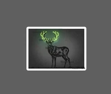 Buck Sticker Neon Antlers Waterproof NEW