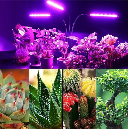 165W Full Spectrum Dimmable LED Aquarium Light Reef Fish Tank Lamp SPS LPS Coral - Picture 23 of 26