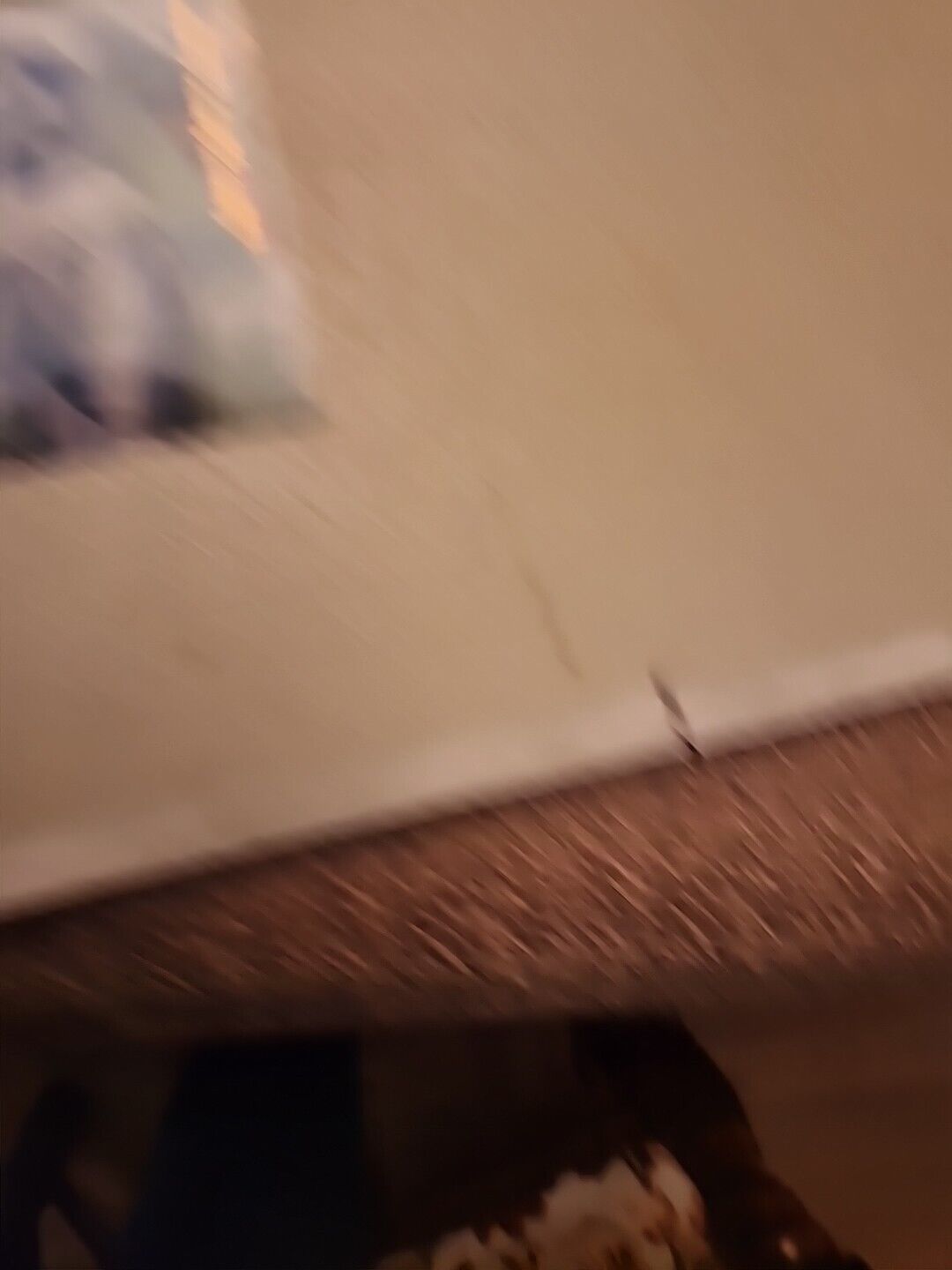 Foto 7 di 11