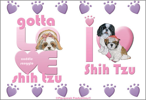Shih Tzu Water Bottle - Picture 2 of 2
