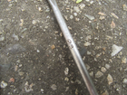 Picture 6 of 8